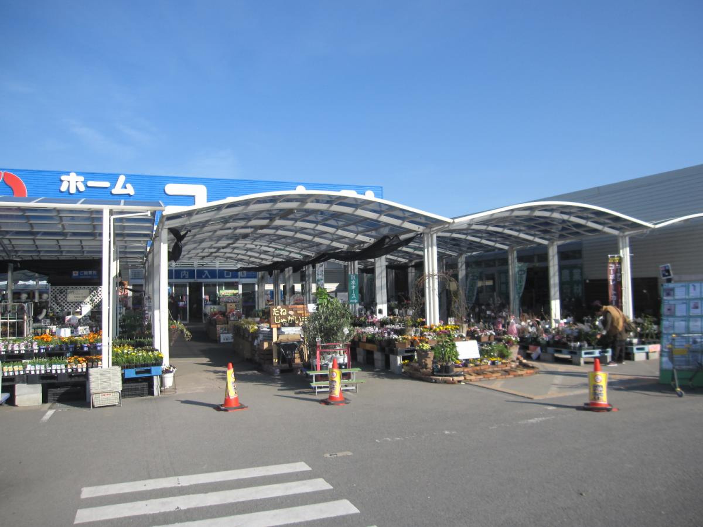 徳島小松島のコーナン活用術！混雑回避と限定クーポンで得する買い物