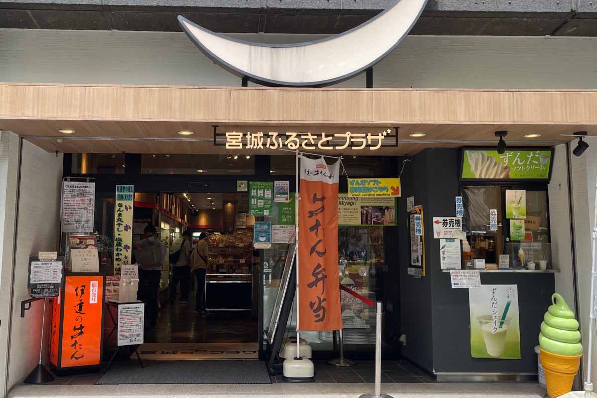 あの「土の家」は今どうなっているのか？湿気とカビに挑んだ奇抜な建築の2026年現在の真実