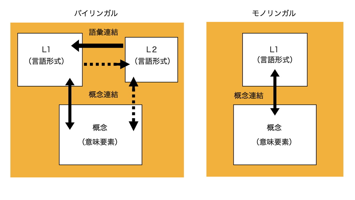 モノリンガルは時代遅れ？脳への影響とバイリンガルとの決定的な差