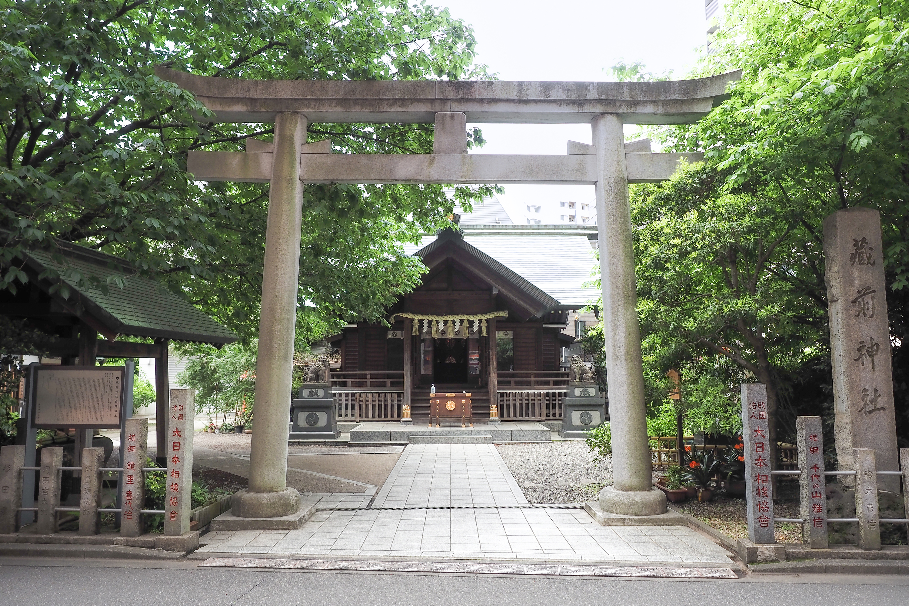 【2026年最新ルポ】黄とピンクが織りなす春の奇跡。なぜ今「蔵前神社」に世界中から人が押し寄せるのか