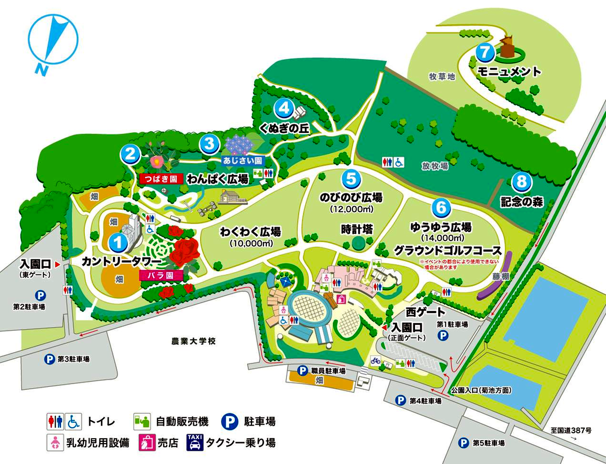 絶景バラ園と親子体験！熊本県農業公園カントリーパーク徹底ガイド