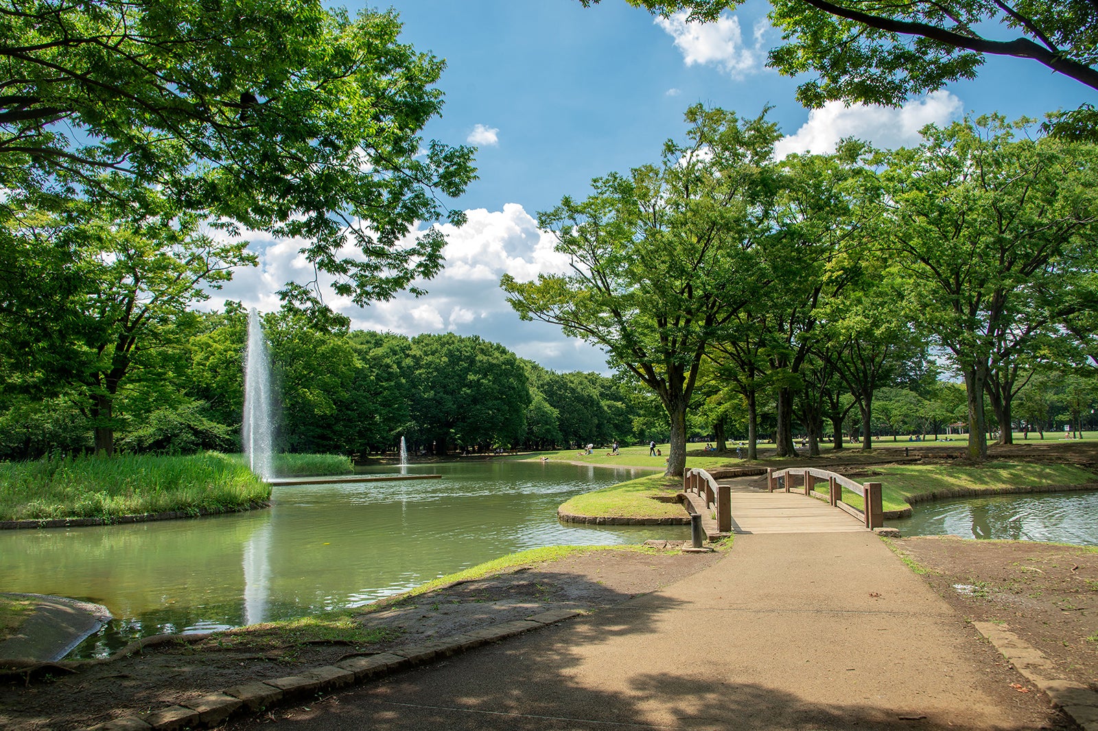 「公園 近く」の資産価値が2026年に再急騰：酷暑・防災・在宅勤務が変えた都市居住の最前線
