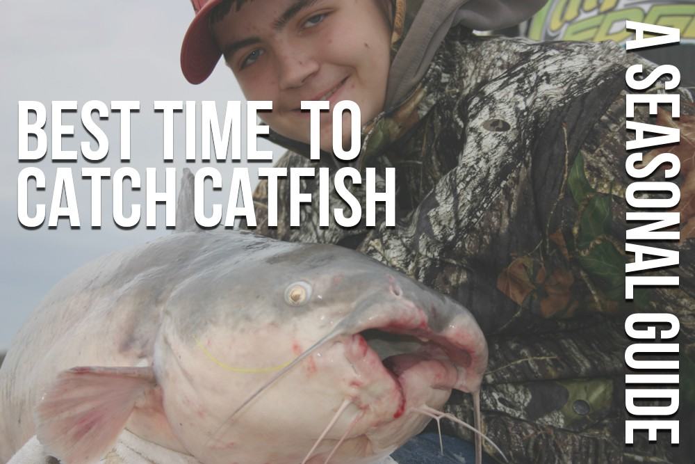 Best Time to Fish Catfish