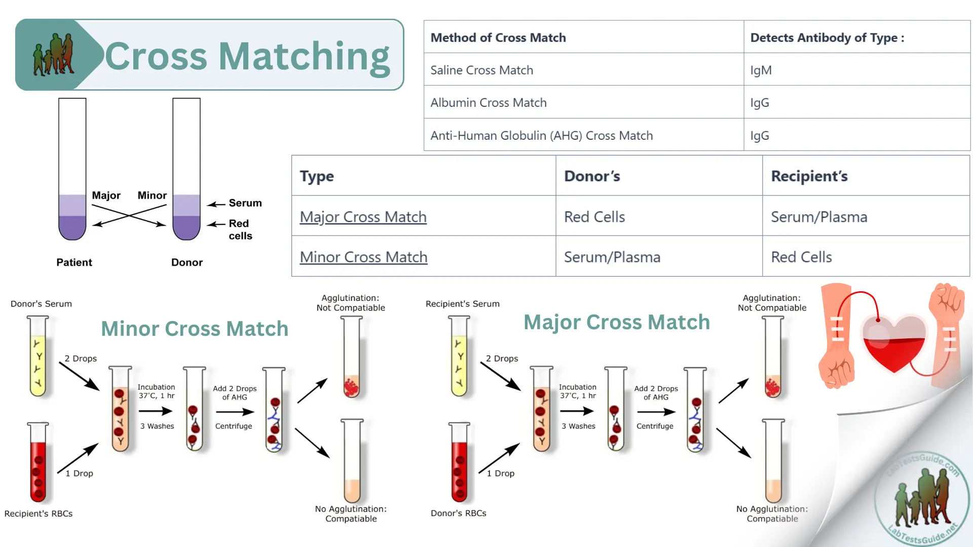 Procedure 1 Blood Type Matching Practice