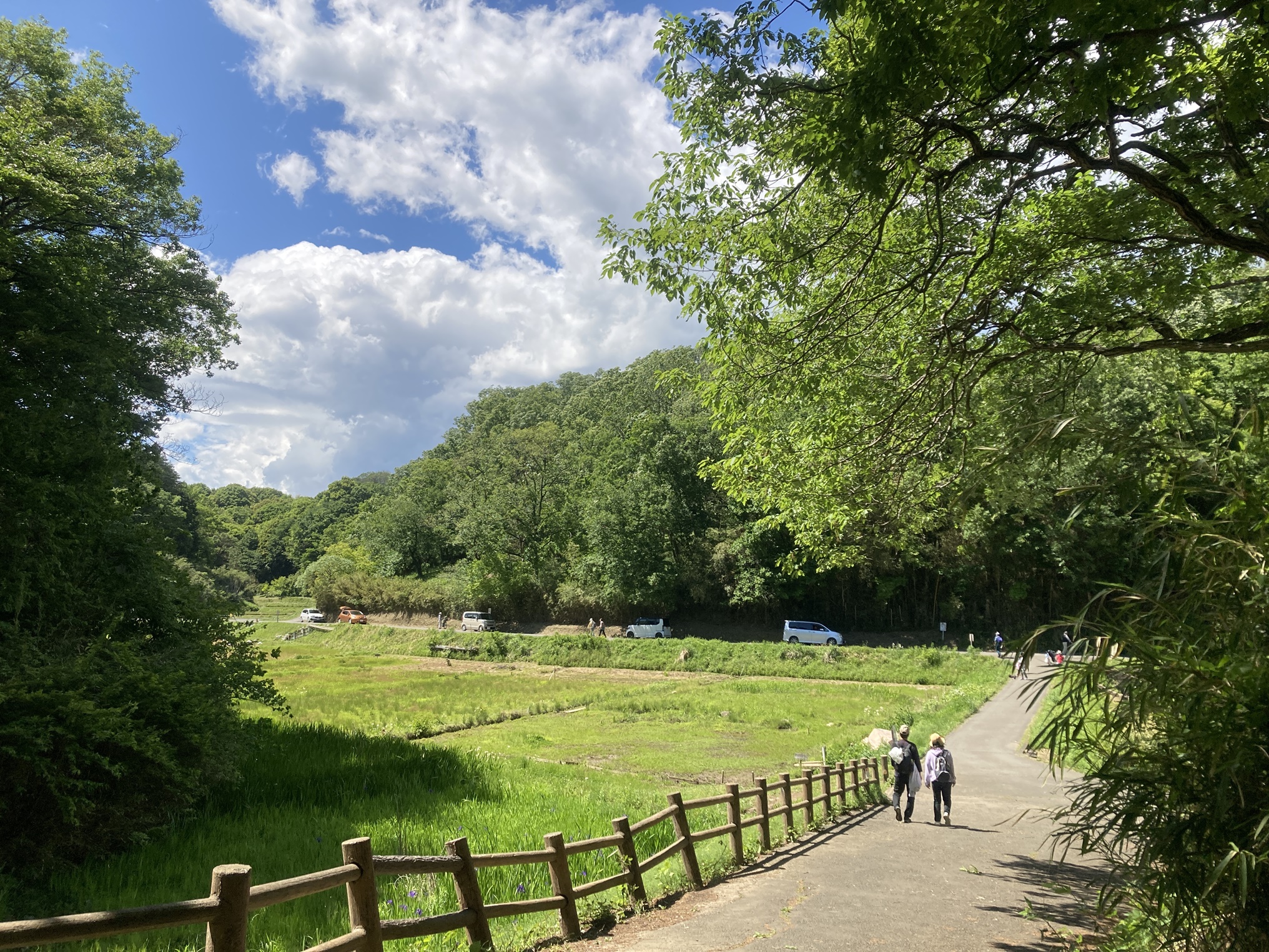 都市の喧騒を忘れる2026年の理想郷——「寺家 ふるさと 村」が示す谷戸の景観保全と次世代マイクロツーリズムの最前線
