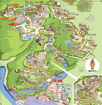 【インスタ画像】 長崎 Bio Park 2026年最新芸能速報 #870
