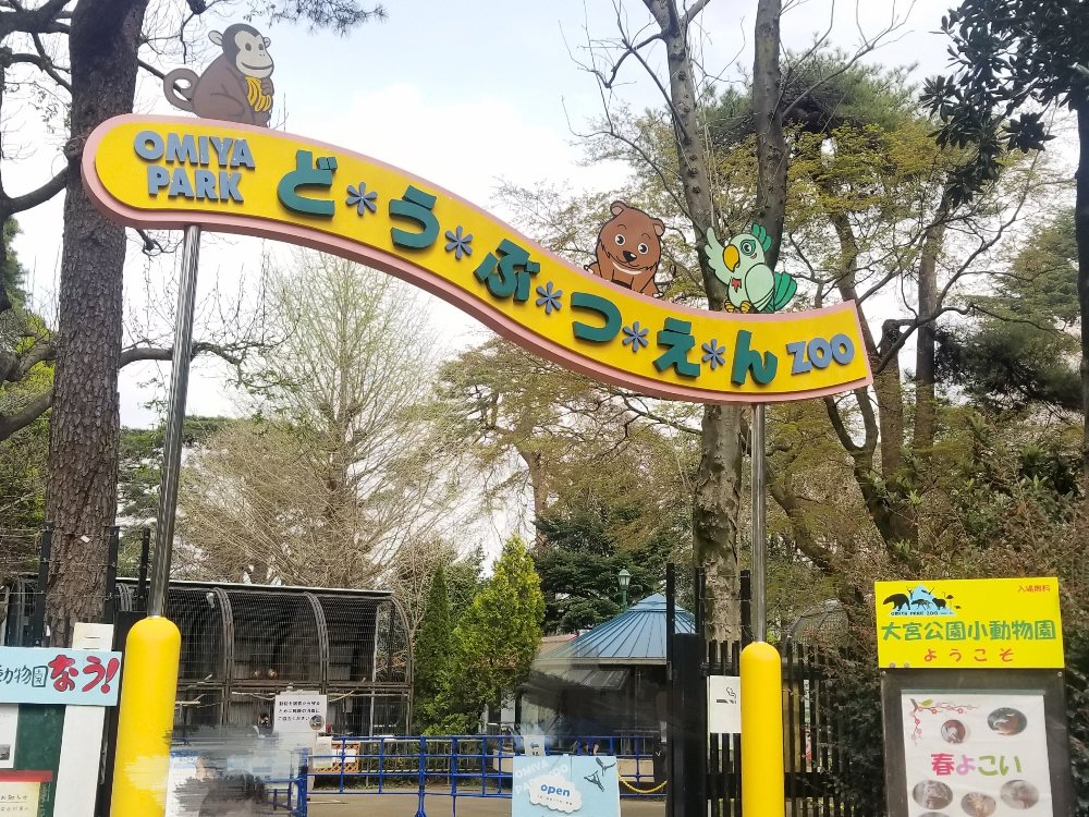 【2026年最新】入場料0円の衝撃。埼玉県民が密かに愛す「大宮公園小動物園」の凄みとカピバラ人気のリアル