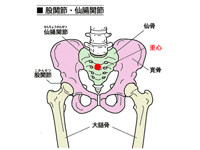 【医師監修】仙骨の正確な位置とお尻のセルフチェック＆ストレッチ