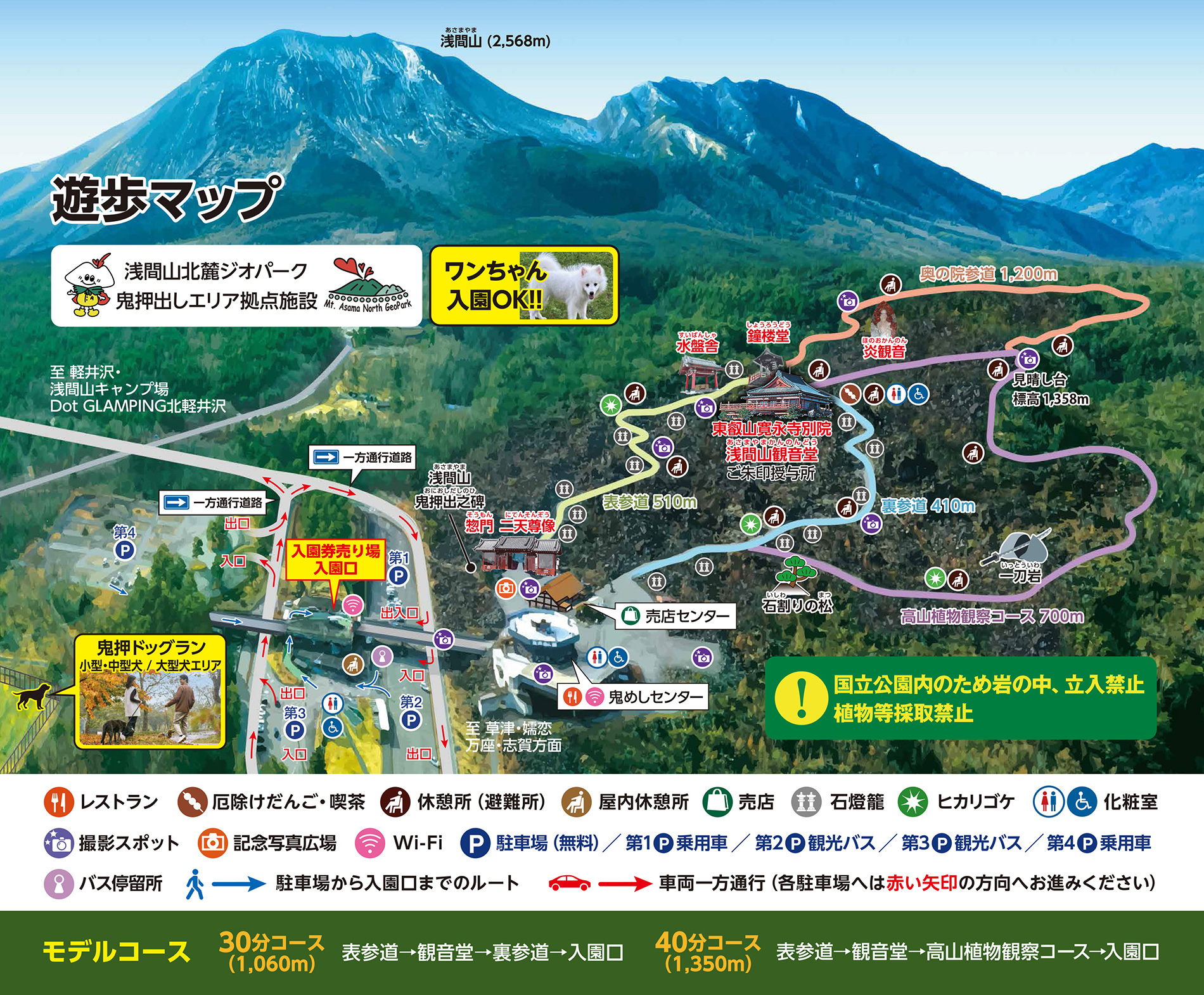 福岡空港国内線の劇的進化と混雑の真相！2026年最新攻略ガイド