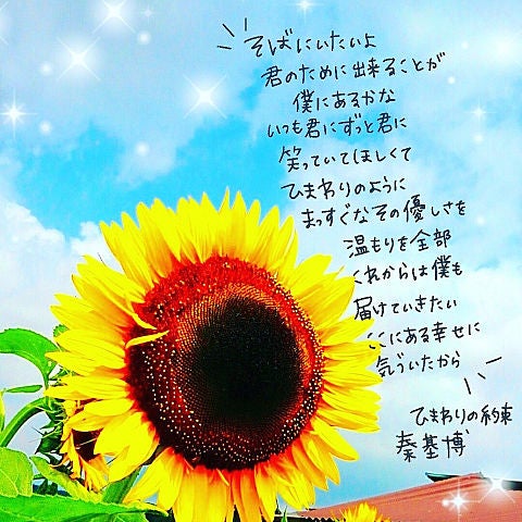 【画像あり】 秦 基博 ひまわり の 約束 歌詞 2026年最新メディア #990