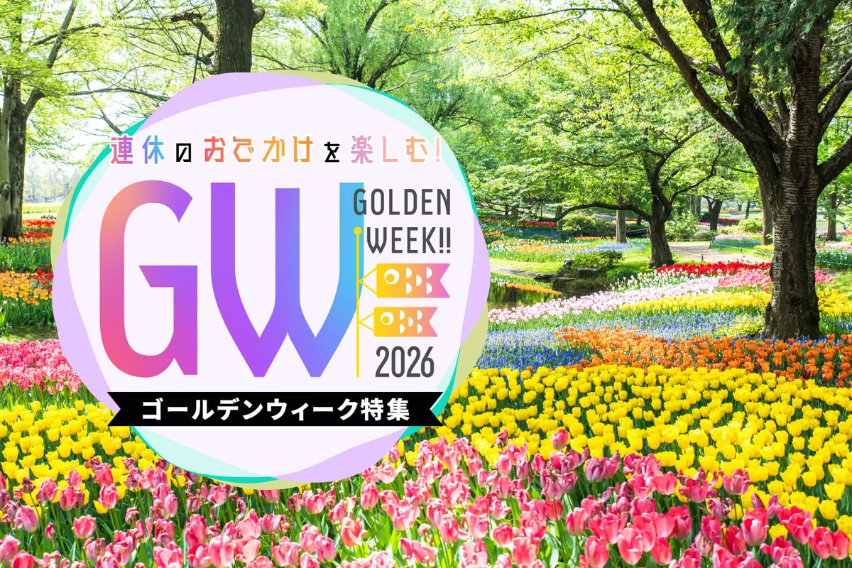 スラムダンク湘北高校のモデルは実在？校舎や名前の由来と聖地を追う