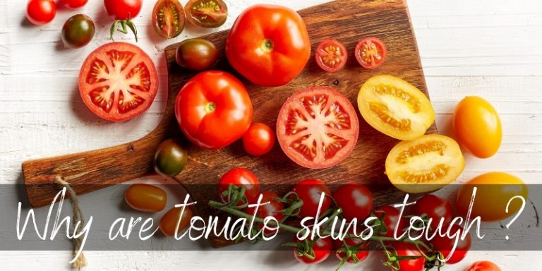 Are Tomatoes Hard to Digest
