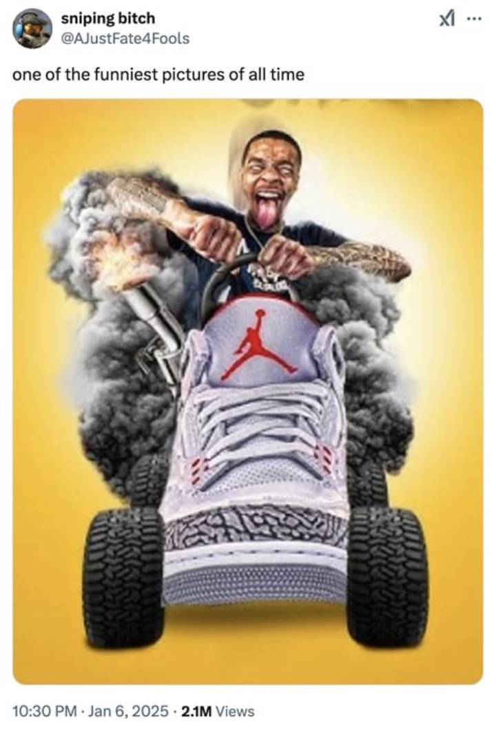 Flight Driving a Shoe: the Practical Guide to the Style and the Skill