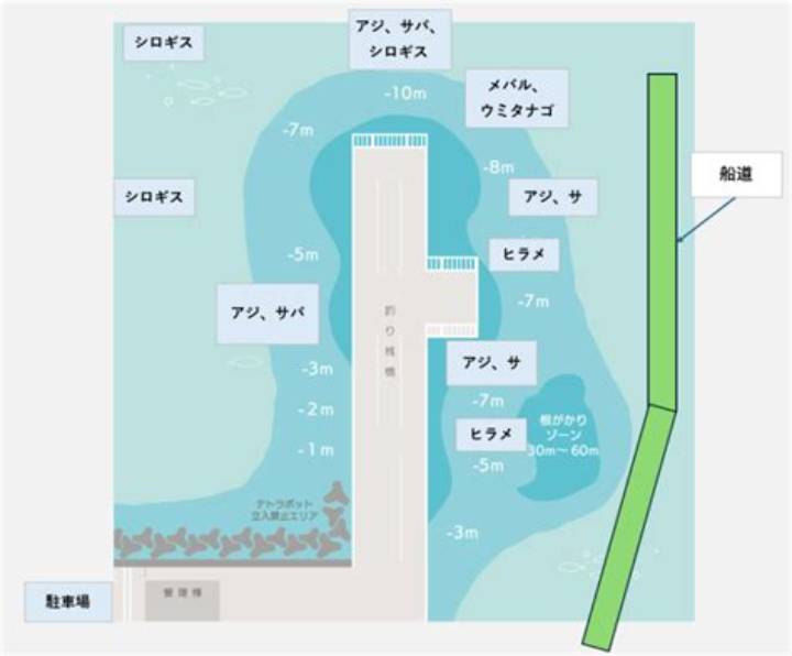 鹿島港の魚釣り園ガイド：アクセス・釣り方・注意点を解説