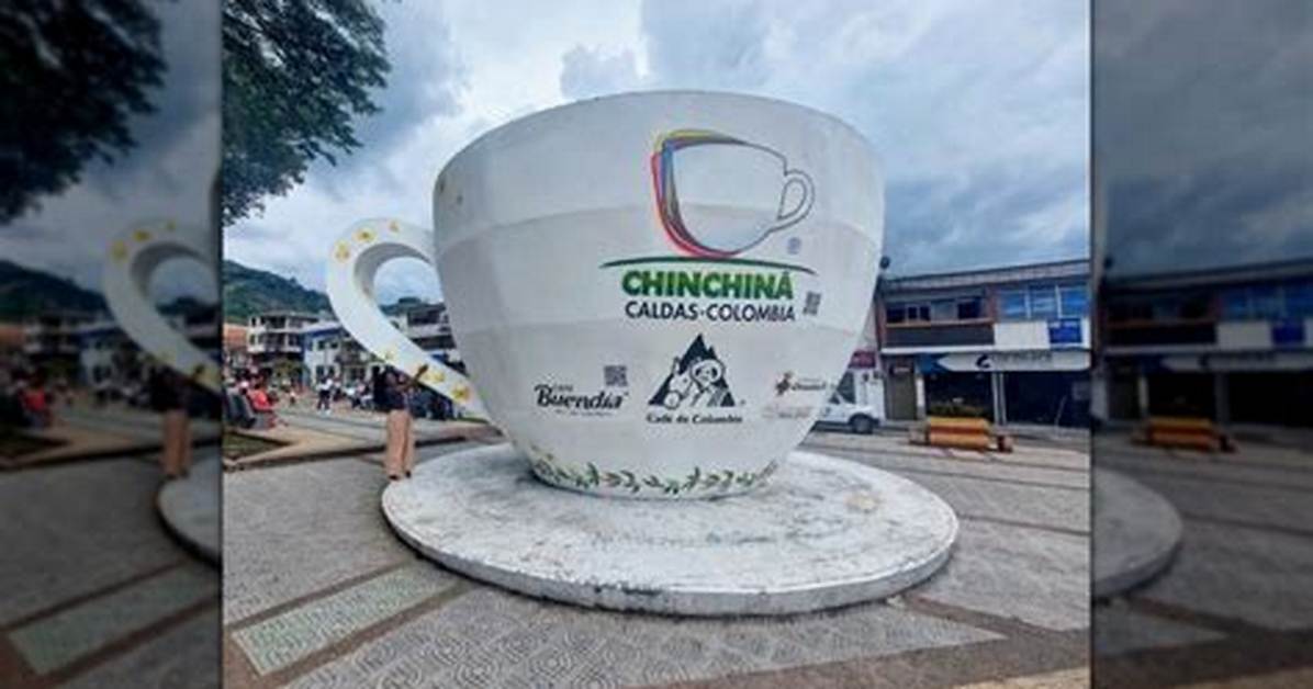 Largest Cup