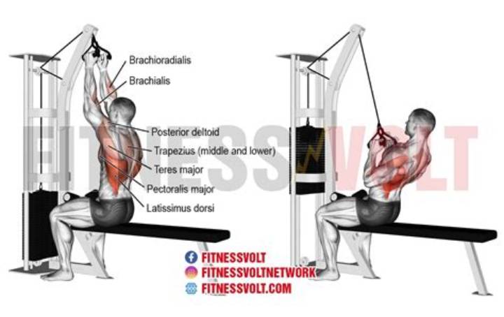 Neutral Grip Lat Pulldown: Form, Benefits, Cues, and Common Mistakes